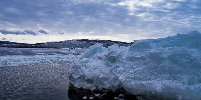 Sibirya'da Buzul Çağı'ndan kalma kuşun kalıntısı bulundu