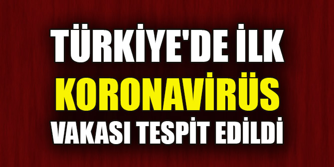 Türkiye'de ilk koronavirüs vakası tespit edildi