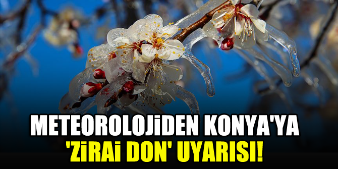 Meteorolojiden Konya'ya 'zirai don' uyarısı!