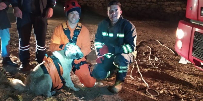 Irmak kenarında mahsur kalan köpeği itfaiye ekipleri kurtardı