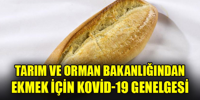 Tarım ve Orman Bakanlığından ekmek için Kovid-19 genelgesi