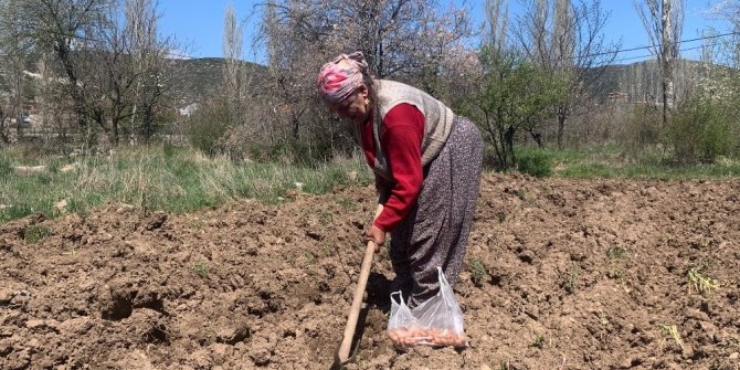 76 yaşındaki eşi dışarı çıkamadığı için tarlasını tek başına çapalayıp ekiyor