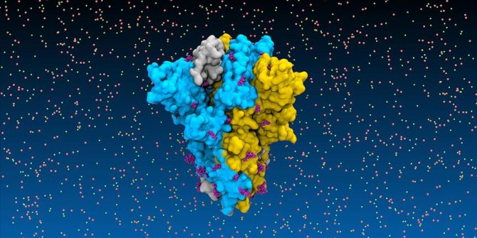 Türk bilim insanından Kovid-19 ilaç araştırmalarına katkı sağlayacak proje