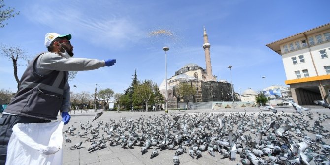 Sokağa çıkma kısıtlamasında sokak hayvanları unutulmuyor