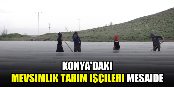 Konya'daki mevsimlik tarım işçileri mesaide