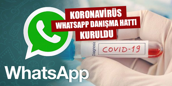 Sağlık Bakanlığı'nca Koronavirüs Whatsapp Danışma Hattı kuruldu