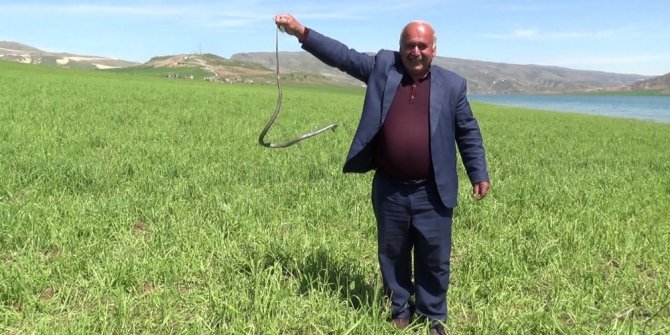Eliyle yakaladığı yılanla fotoğraf çektirdi