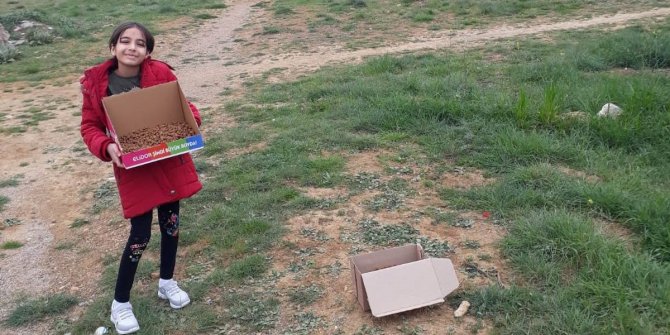 İlkokul öğrencisi kumbarasındaki parayla sokak hayvanlarına yiyecek aldı
