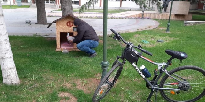 Rektör Çomaklı kampüsteki sokak hayvanlarını unutmadı