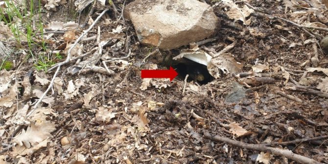 Teröristler helikopterin iniş bölgesi ile sığınakların girişlerine patlayıcı tuzaklamış