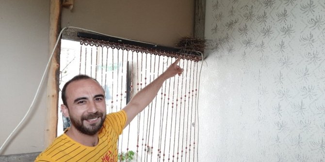 Korona tedbirinde kapatılan berber dükkanına kuşlar yuva yaptı
