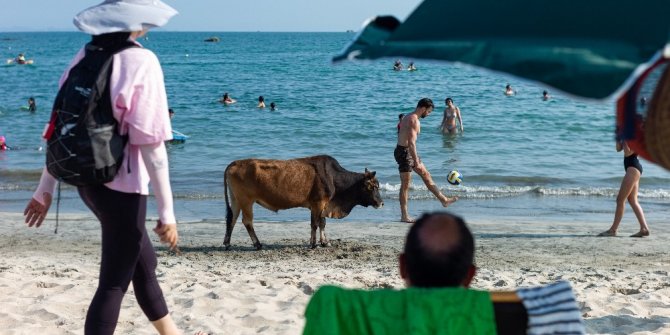 Hong Kong’da korona virüse rağmen halk, plajlara akın etti