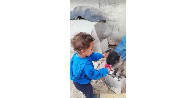 1 buçuk yaşındaki çocuk ile yavru köpeğin dostluğu yürekleri ısıttı