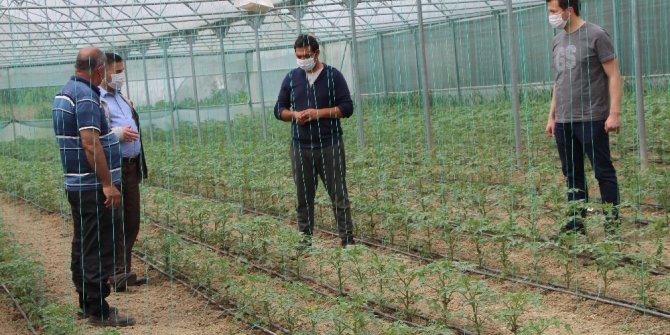 Devrekli çiftçileri korona virüs bile durduramıyor
