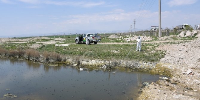 Konya Büyükşehir 31 ilçede haşereyle mücadele çalışması yapıyor