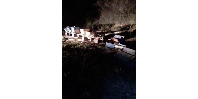 Tosya’da arı kovanlarına ayı saldırdı