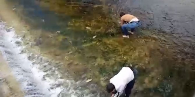Beyşehir Gölü'nden kanala sürüklenen balıkları kurtardılar