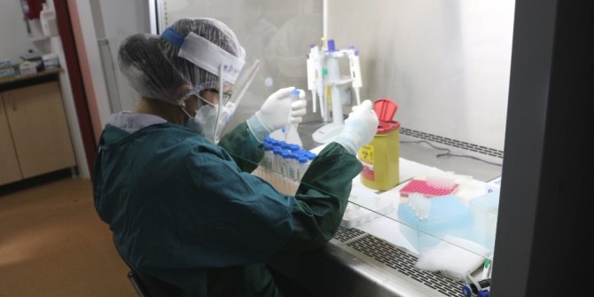 Prof. Dr. Cömert: “Günlük PCR testi kapasitemiz 500-600 arasında”