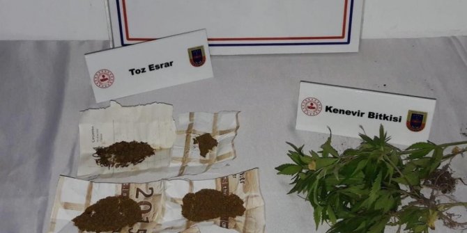 Meyve kasalarına kenevir eken şüpheli yakalandı