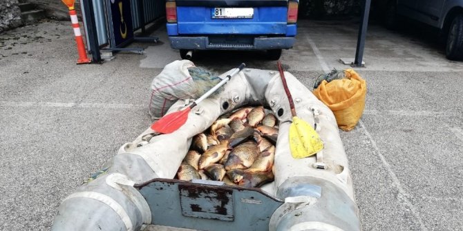 Jandarmadan kaçak balık avlayanlara 32 bin 683 lira ceza