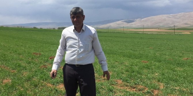 Darende’de kuraklık tehlikesi