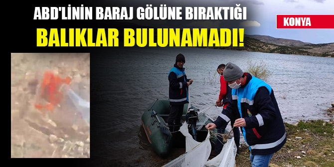 Konya'da ABD'linin baraj gölüne bıraktığı balıklar bulunamadı!