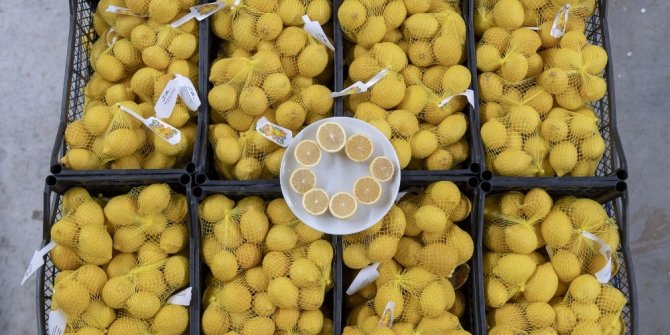 Mersin’in limonları bu kez başkent için yola çıktı