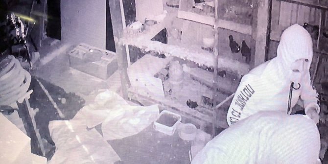 Manisa’da güvercin hırsızları kameraya yakalandı