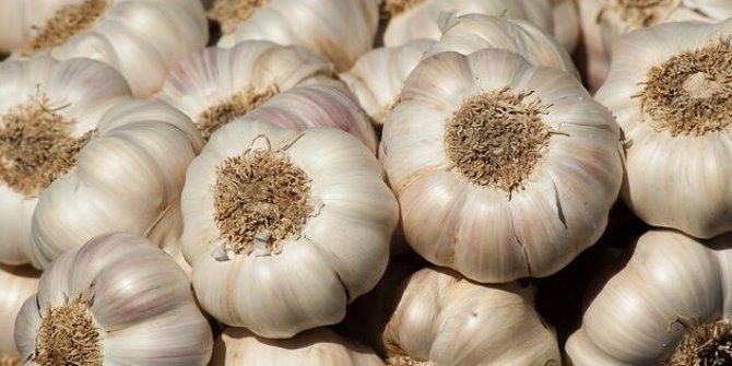 Konya'nın zam şampiyonu sarımsak oldu
