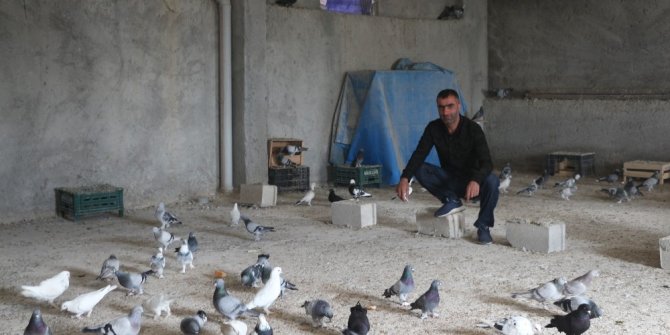 Fiyatları ikinci el otomobil ile yarışıyor!