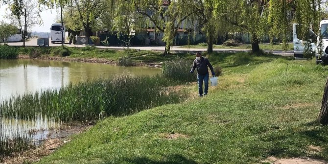 Ergene Belediyesi larva ile mücadele çalışmalarını arttırdı