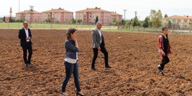 Silopi’de fide ekimi başladı