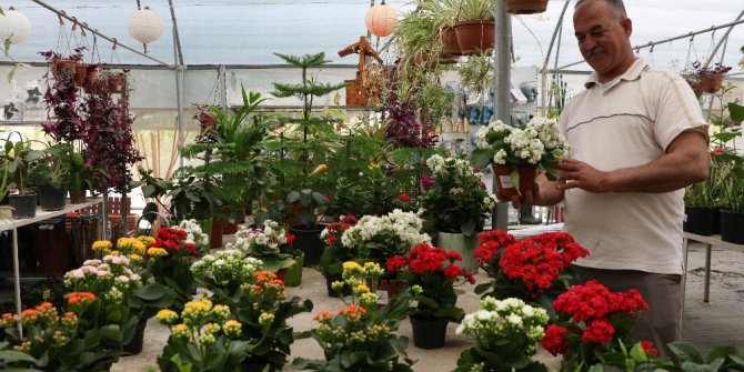 Korona sayesinde balkonlar bahçeye dönüştü