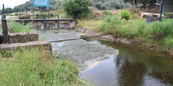 Aydınlı üreticiler, Büyük Menderes’ten su verilen kanaldaki kirliliğe bir çözüm bulunmasını istiyor