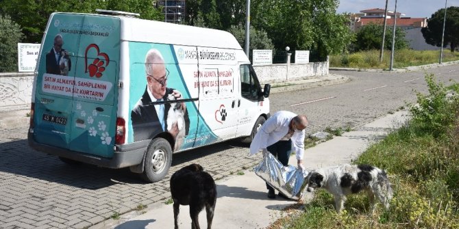 Manisa’da sokak hayvanlarına düzenli mama desteği