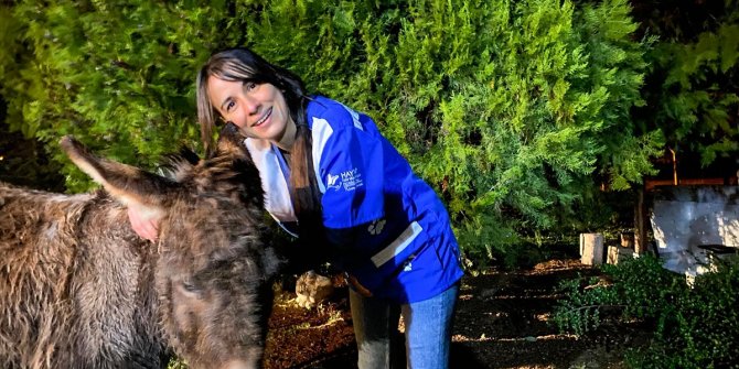Ankara'da yavrusuna köpeklerin saldırtıldığı eşek Bursa'da tedavi ediliyor