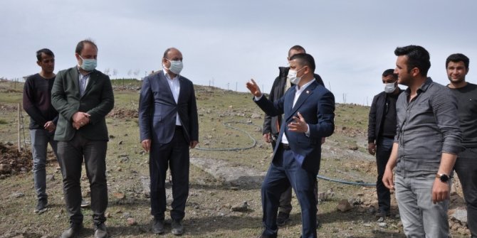 Erciş Belediyesinden meyve bahçesi