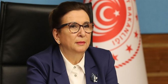 Bakan Pekcan: "TIR şoförlerimizin mağduriyetini gideriyoruz"