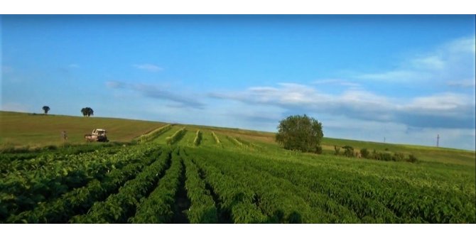 Edirne’de 395 bin 490 dekar tarım arazisi sulanmaya başlandı