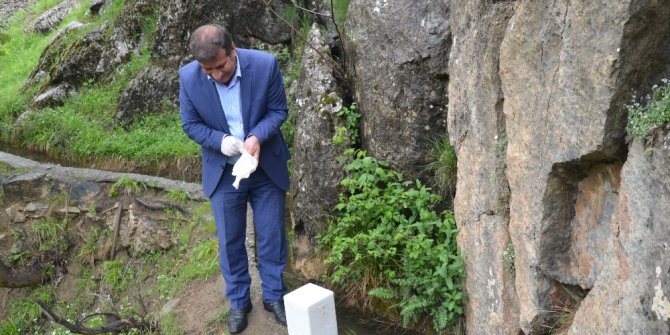 Şırnak’ta görülen ölü semenderler, araştırılmak üzere Ankara’ya gönderilecek
