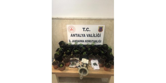 Özel düzenek kurup, uyuşturucu yetiştirilen eve operasyon