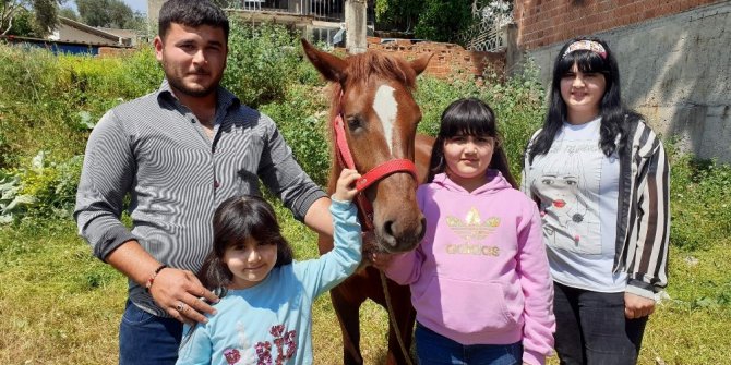 Alnında kuş figürü bulunan at ilgi odağı oldu