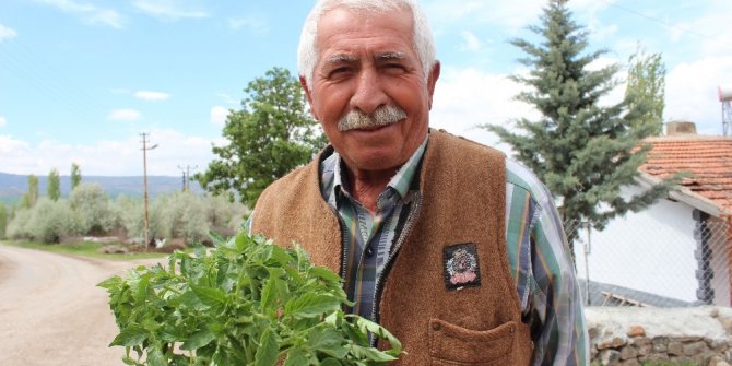 65 yaş üzeri vatandaşın bahçe bakımını belediye ekipleri yapacak