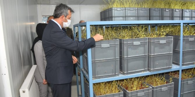 Vali Sezer Delice ilçesini ziyaret etti