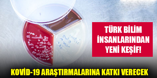 Türk bilim insanlarından Kovid-19 araştırmalarına katkı verecek yeni keşif