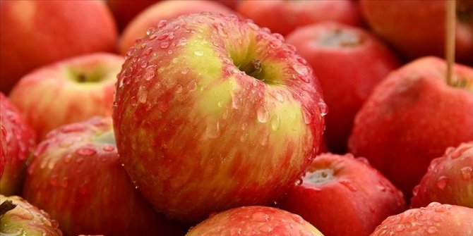 Türk ihracatçısı 210 milyon dolarlık "Tayland elma pazarı"na giriyor
