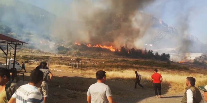 Orman yangında 80 dönüm muz serası zarar gördü