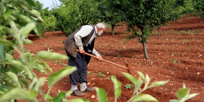 Yaşlı adam 63 gündür tek başına bağ evinde kalıyor
