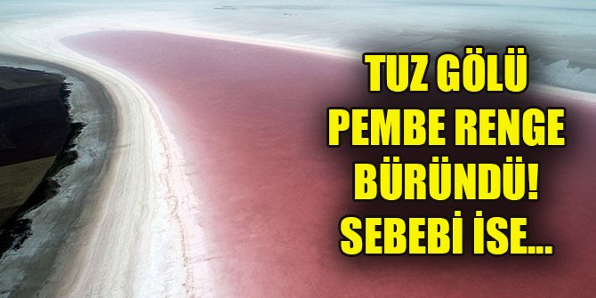 Tuz Gölü pembe renge büründü! Sebebi ise...