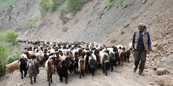 Terörün kökünün kazındığı yaylalar göçerlerle dolup taştı